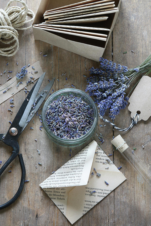 Envelopes Handmade From Old Book Pages Filled With Lavender Flowers Photograph by Regina Hippel