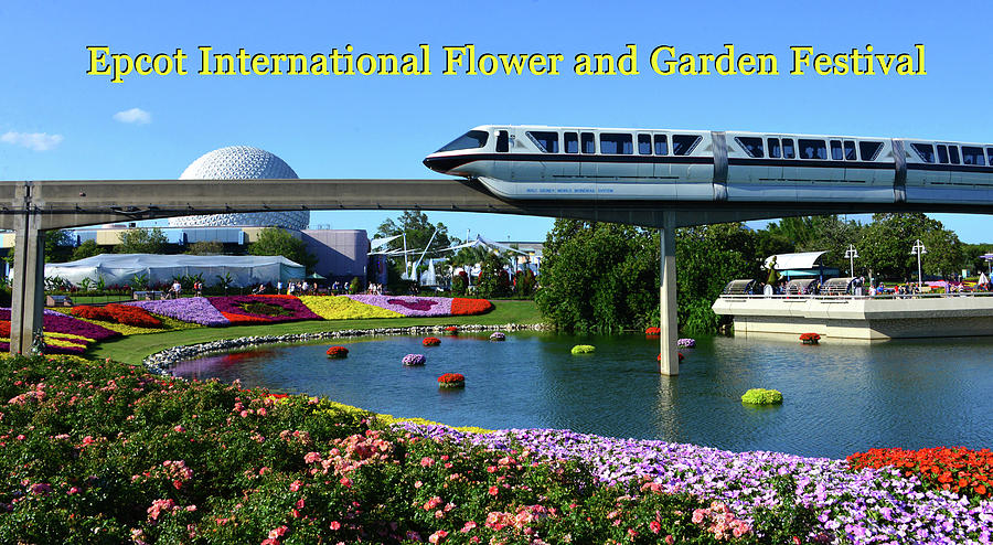 Epcot Flower and Garden pano poster A Photograph by David Lee Thompson