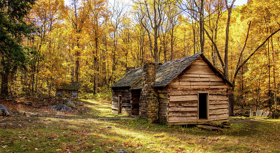 Ephraim Bales Cabin in the Woods Photograph by Marcy Wielfaert - Pixels