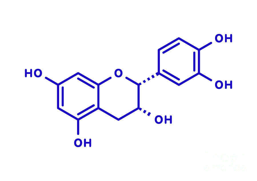 Epicatechin Chocolate Flavonoid Molecule Photograph by Molekuul/science