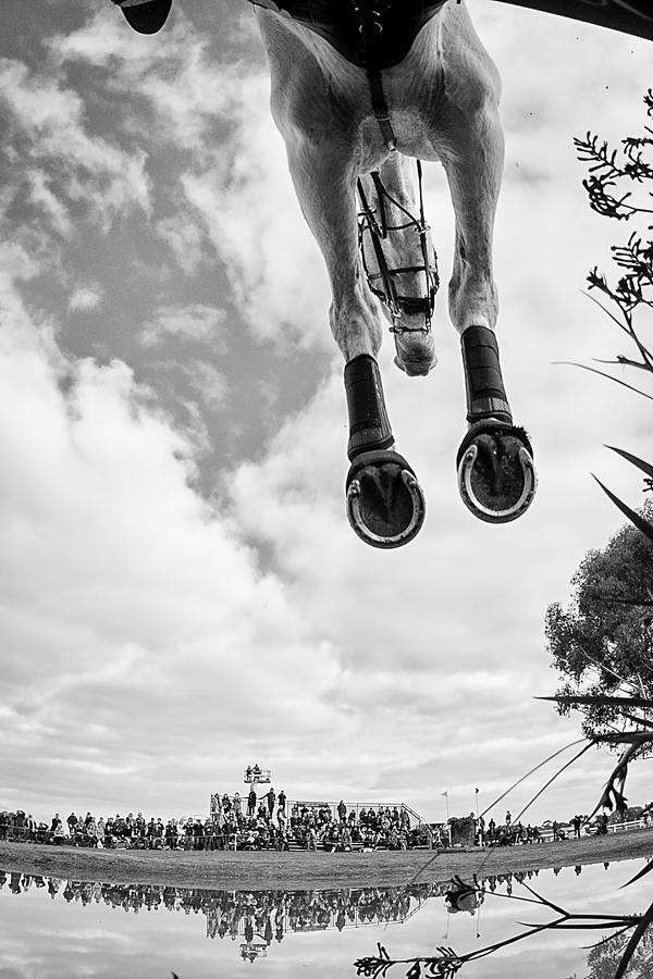 Horse Photograph - Equine Flight by Sharon Lee Chapman