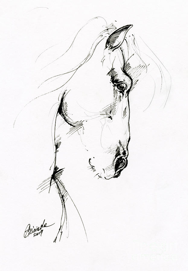 Equine sketch 2019 04 28 by Angel Ciesniarska Equine sketch 2019 04 28 by Angel Ciesniarska