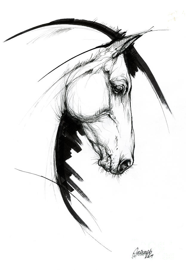 Equine sketch 2019 04 28a by Angel Ciesniarska Equine sketch 2019 04 28a by Angel Ciesniarska