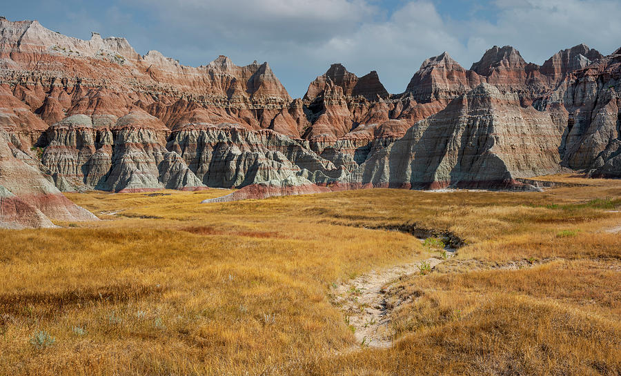 Eroded Badlands And Prairie Grasses, Badlands National Photograph by John Shaw / Naturepl.com Eroded Badlands And Prairie Grasses, Badlands National Photograph by John Shaw / Naturepl.com