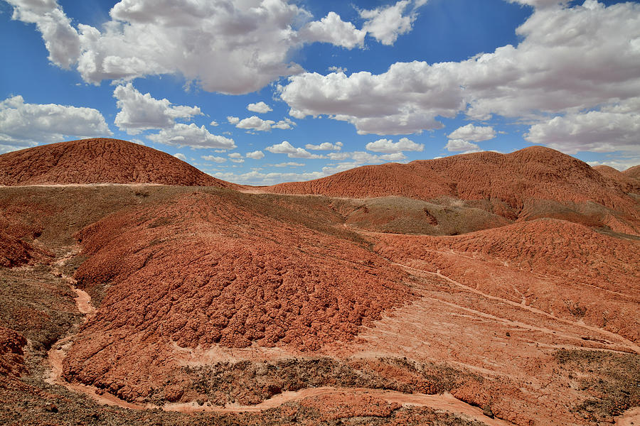 Eroded Beauty along Scenic Byway 191 in AZ Photograph by Ray Mathis