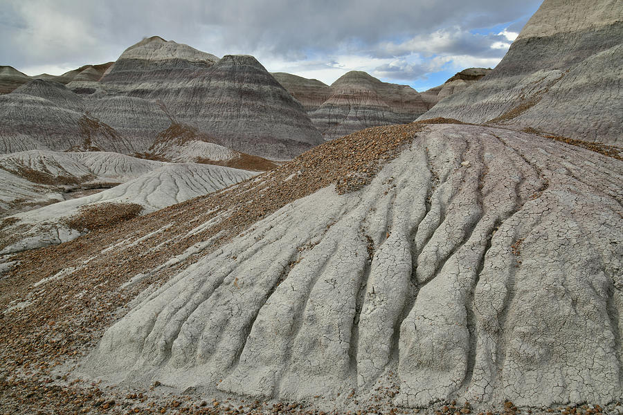 Eroded Blue Mesa Dunes in Petrified Forest Photograph by Ray Mathis