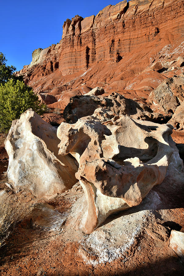 Eroded Boulders at Little Egypt of Capitol Reef Photograph by Ray Mathis