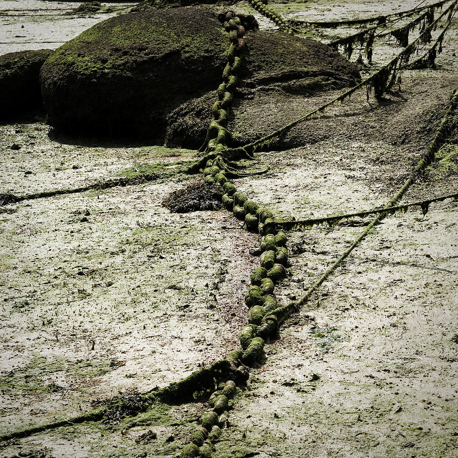 Eroded Chain Digital Art by Colin Dutton