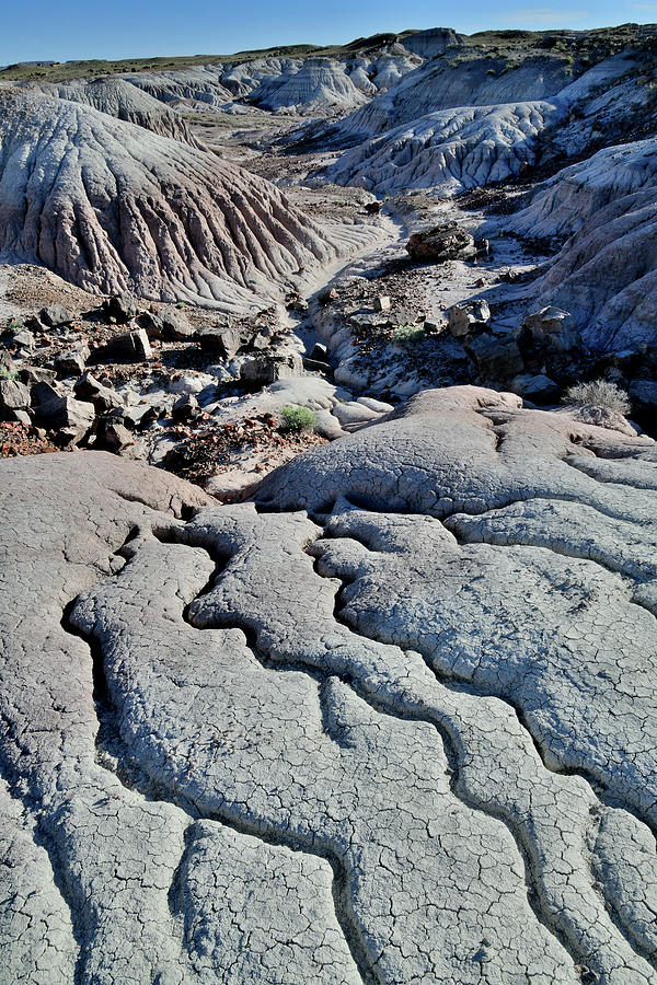 Erosion Art in Petrified Forest NP Photograph by Ray Mathis