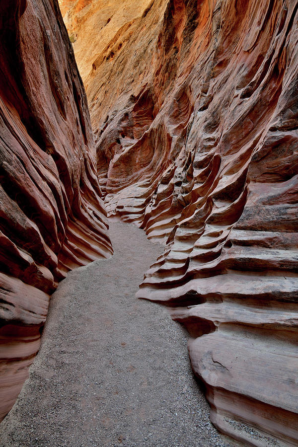 Erosion in Little Wild Horse Canyon in Utah Photograph by Ray Mathis
