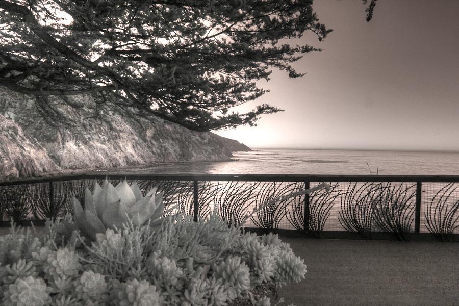 Esalen Institute Big Sur California infrared Photograph by Jane Linders
