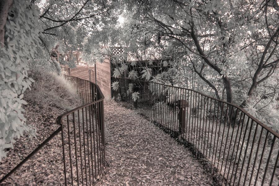 Esalen path fence big sur infrared Photograph by Jane Linders