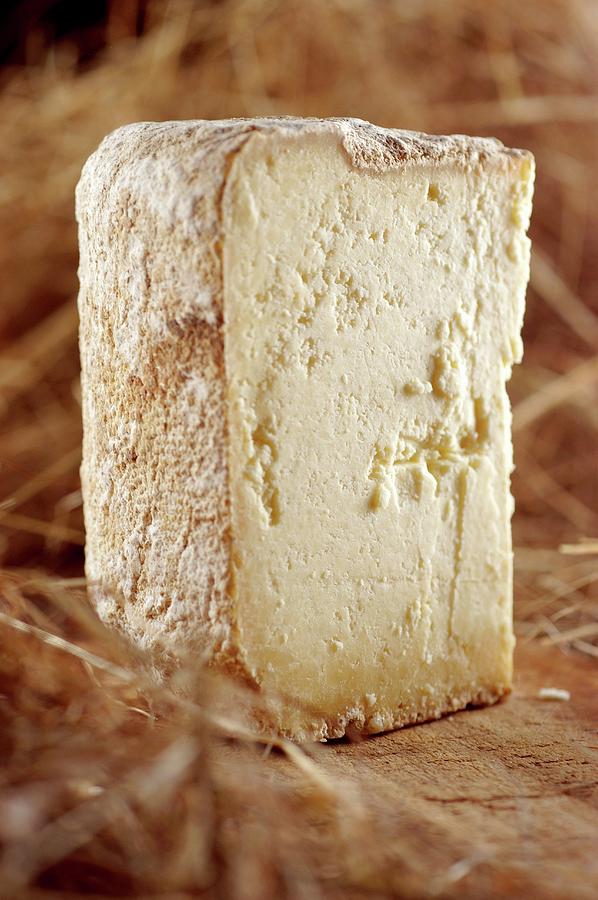 Escarun hard Cheese From Piedmont, Italy Photograph by Franco Pizzochero