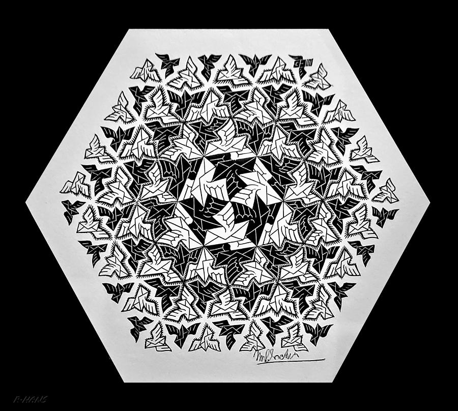 Escher 141 Photograph by Rob Hans
