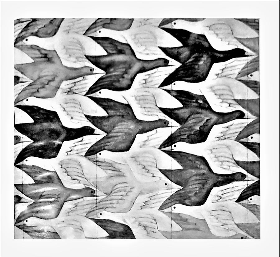 Escher 181 Photograph by Rob Hans