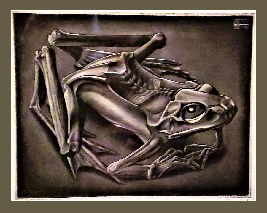 Escher 40 Photograph by Rob Hans