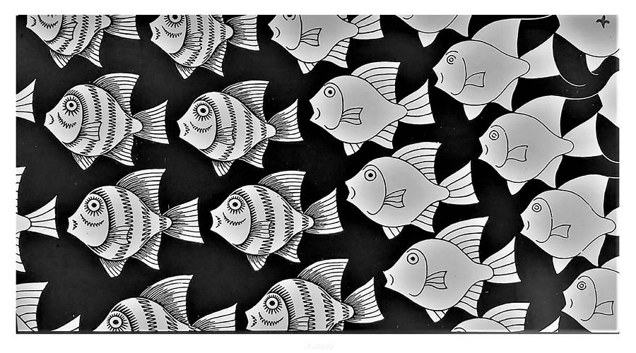 Escher 6 Photograph