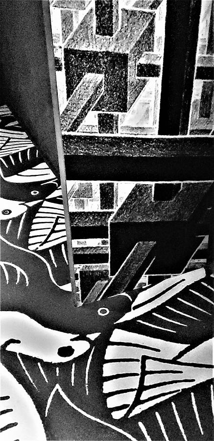 Escher 88 Photograph