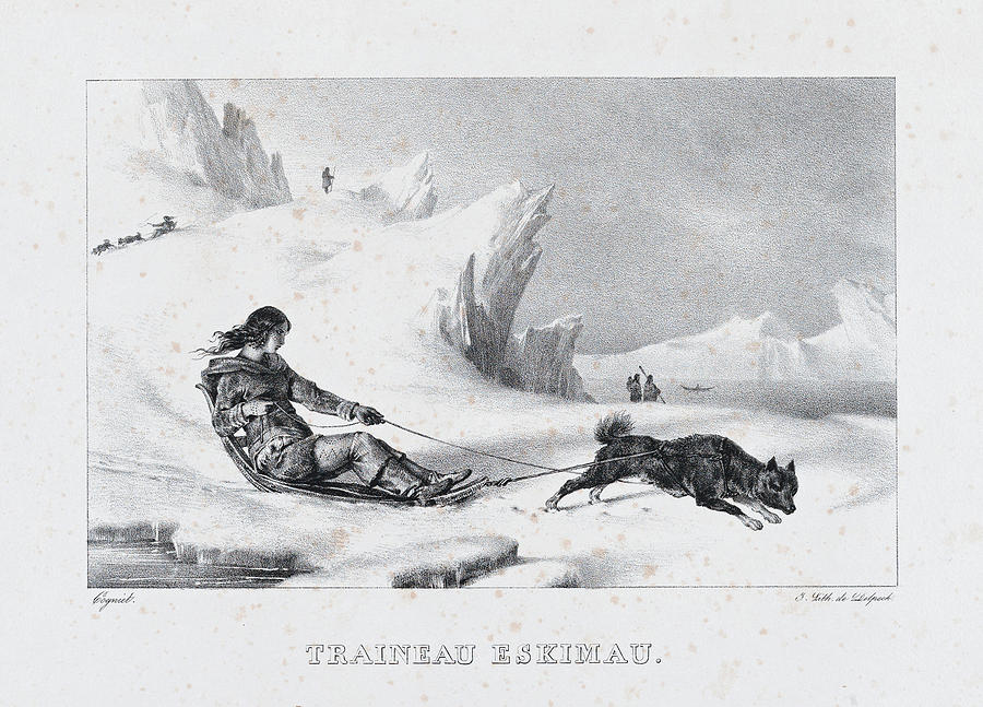 Eskimo Sled Drawing by Leon Cogniet