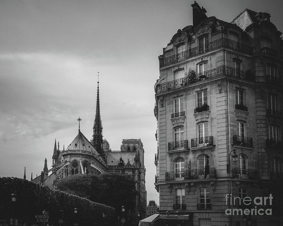Esmeralda Behind Notre Dame, Paris 2016 Photograph by Liesl Walsh
