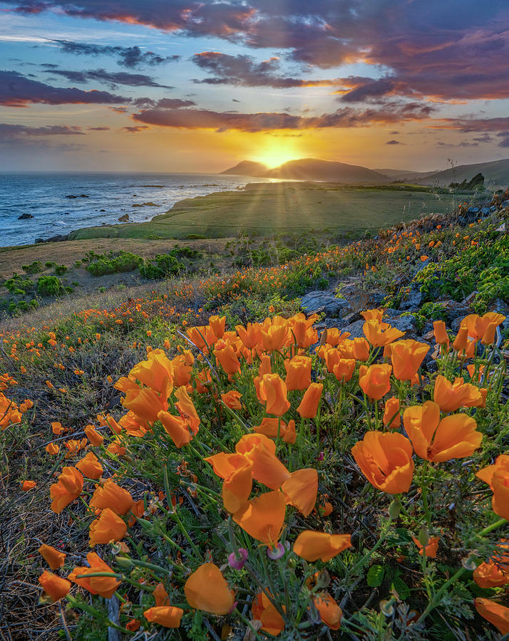Inspirational Photograph - Estero Bluffs Sunset by Tim Fitzharris
