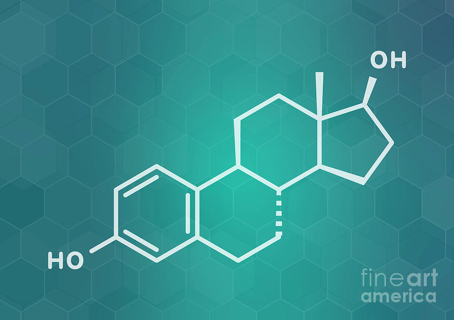 Estradiol Female Sex Hormone Molecule Photograph By Molekuulscience Photo Library Pixels 7082