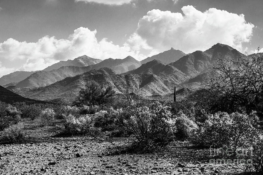 Estrella Mountains Photograph by Kathy McClure