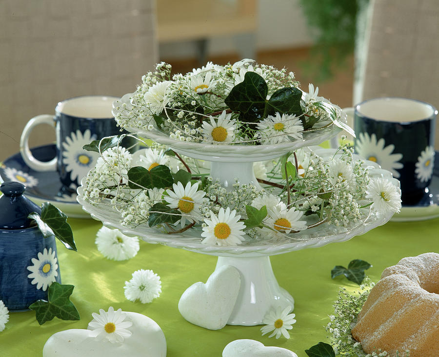 Etagere With Daisy Flowers, Gypsophila And Ivy Leaves Photograph