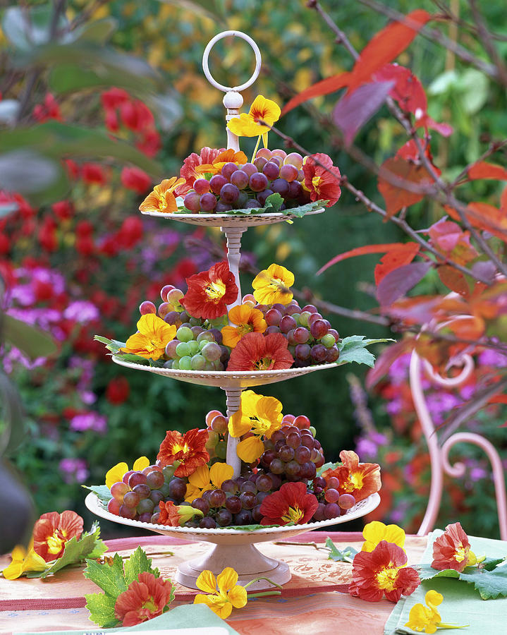 Etagere With Fruit And Flowers Photograph by Friedrich Strauss