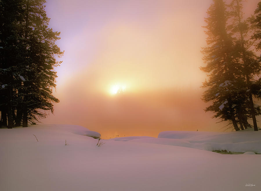 Ethereal Winter Sunrise Photograph by Leland D Howard