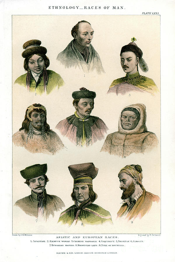 Ethnology, Races Of Man Drawing by Print Collector