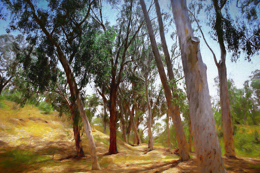 Eucalyptus Grove Oil Painting Digital Art by Alison Frank