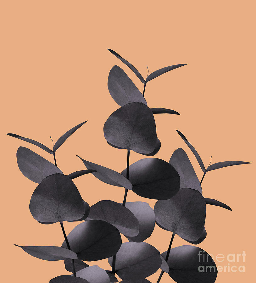 Nature Photograph - Eucalyptus Leaves Black Orange #1 #foliage #decor #art by Anitas and Bellas Art