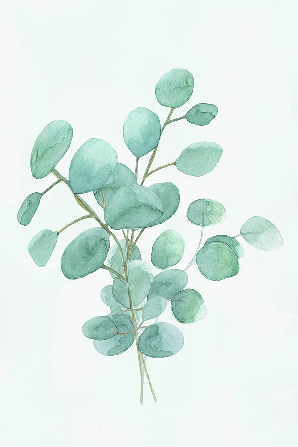 Eucalyptus Silver Dollar Digital Art by Maria Heyens