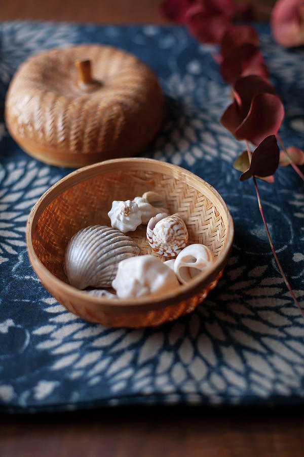 Eucalyptus Sprig In Autumn Colours And Seashells In Basket On Blue Fabric Photograph by Alicja Koll
