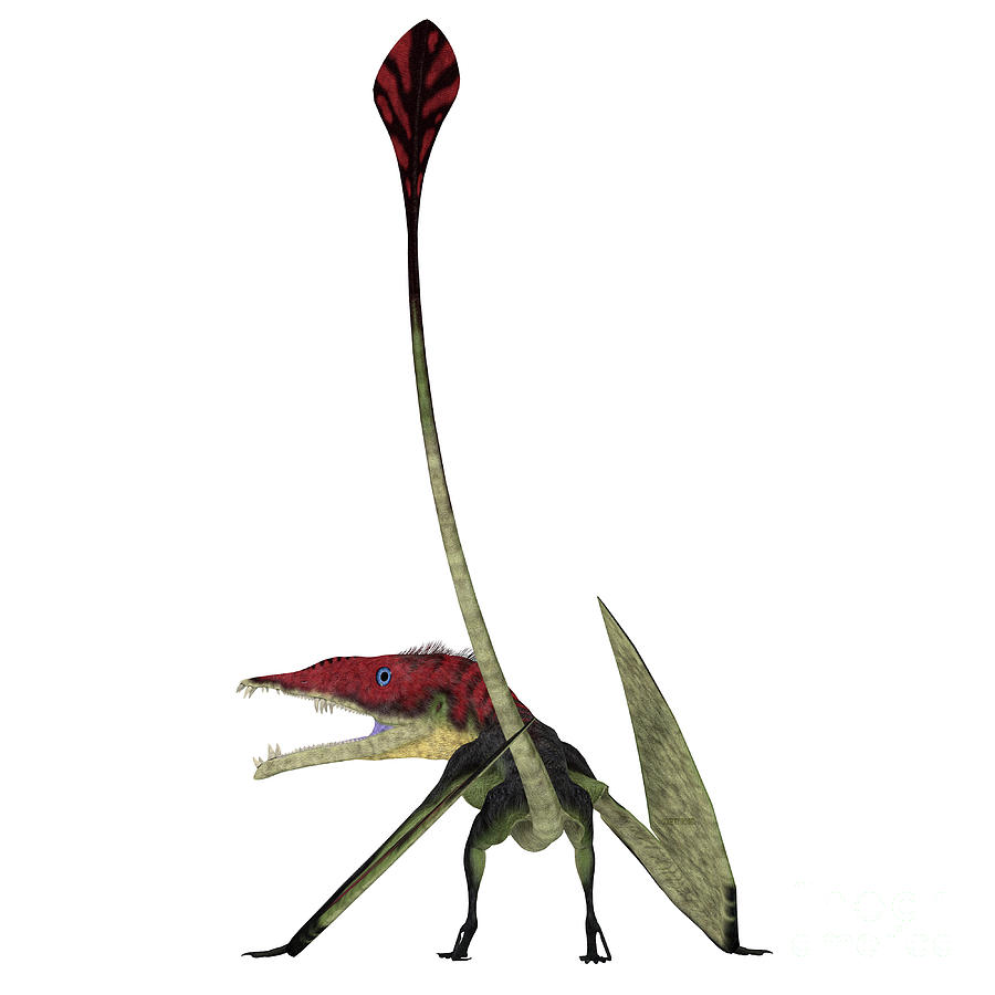 Eudimorphodon Pterosaur Tail Digital Art by Corey Ford