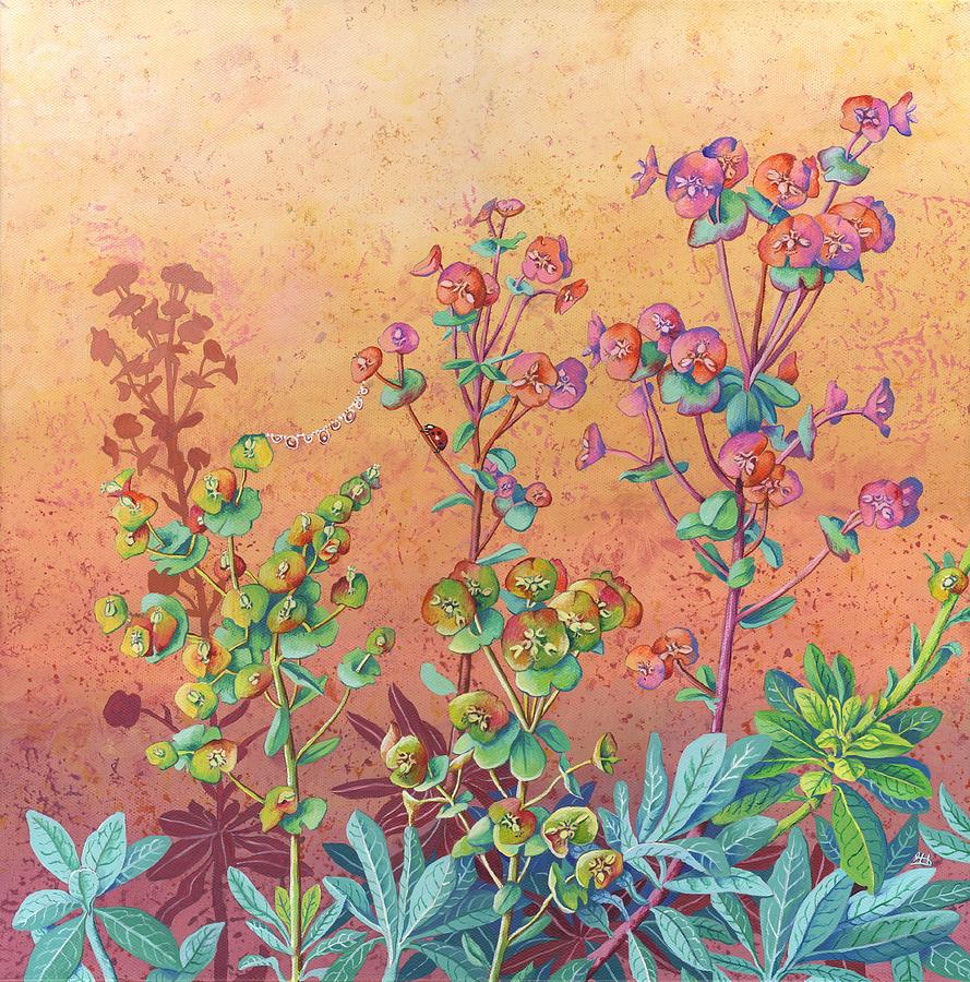 Euphorbia Spurge Painting by Lynne Henderson