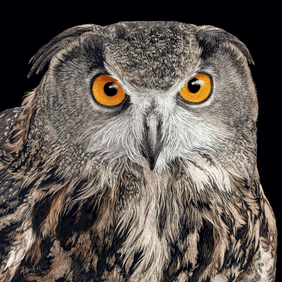 Eurasian Eagle Owl by Ann Ranlett Eurasian Eagle Owl by Ann Ranlett