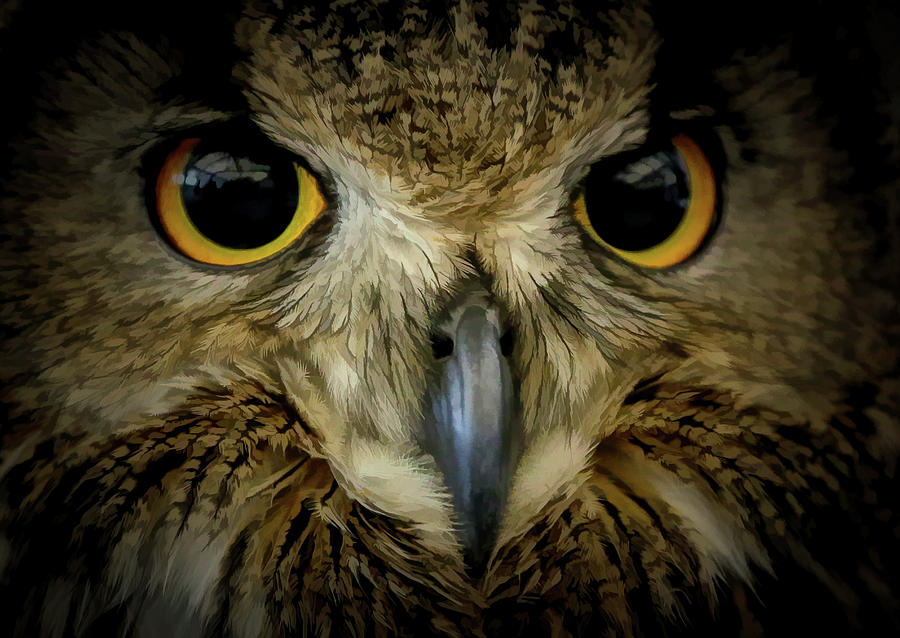 Eurasian Eagle Owl Close Up Photograph by Athena Mckinzie