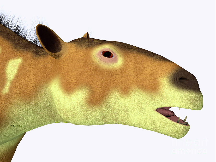 Eurohippus Horse Head Digital Art by Corey Ford