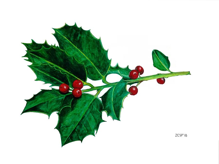 Christmas Painting - European Holly Ilex aquifolium by Zephyr Polk