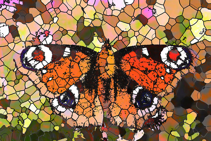 European Peacock butterfly Painting by Jeelan Clark