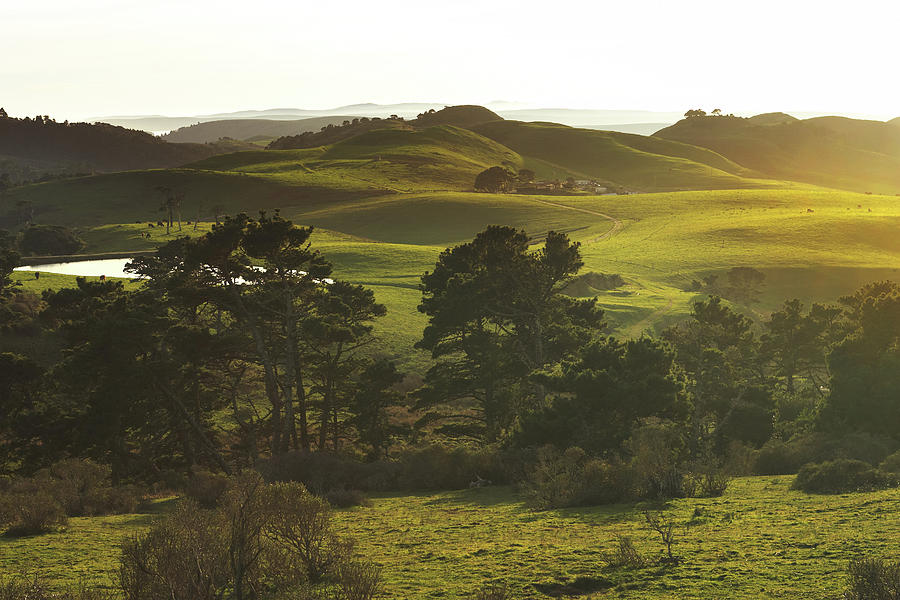 Evans Ranch, Point Reyes, 1997 Photograph by Chris Hunt - Fine Art America