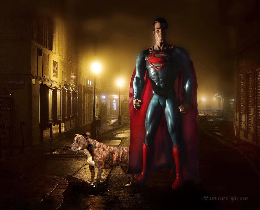 Even Superheroes Need Guardians  Digital Art by Brenda Wilcox aka Wildeyed n Wicked