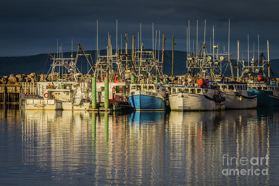 Evening at Digby Harbor Photograph by Eva Lechner