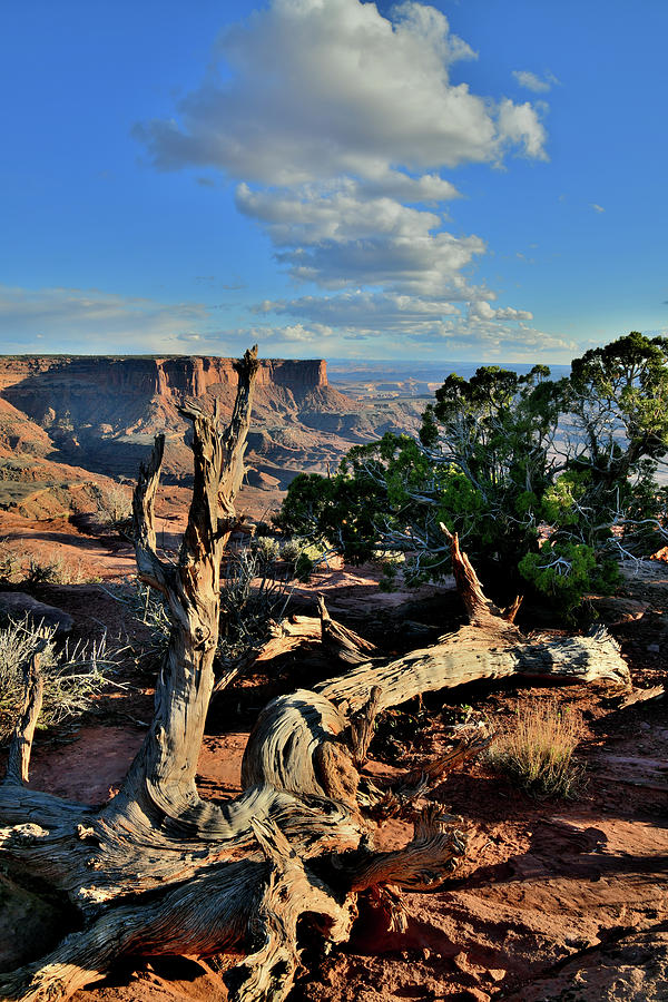 Evening at Green River Overlook in Canyonlands Photograph by Ray Mathis