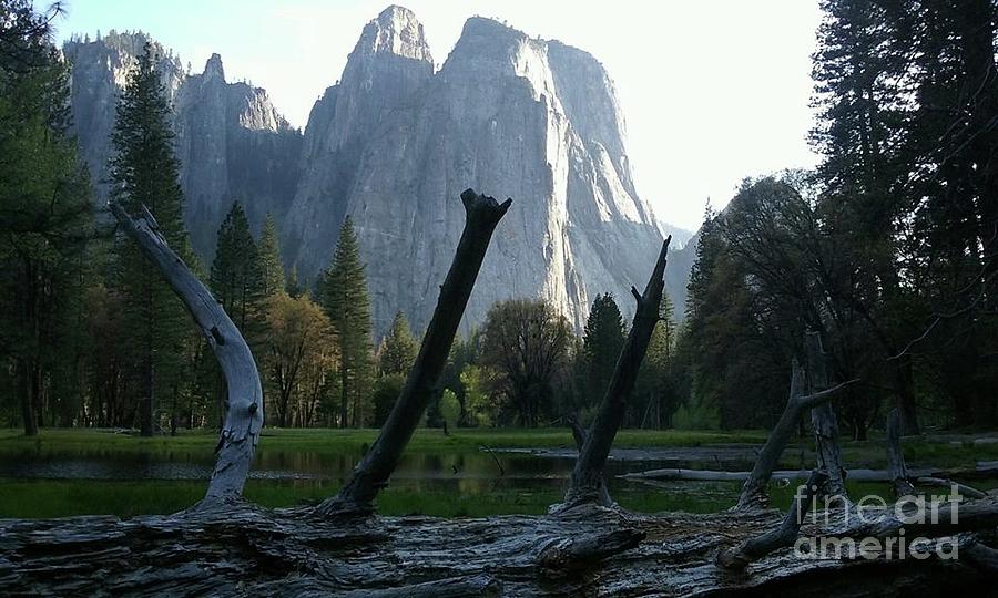 Evening At Yosemite Digital Art