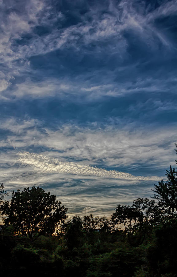 Evening Clouds and Trees Photograph by Robert Ullmann