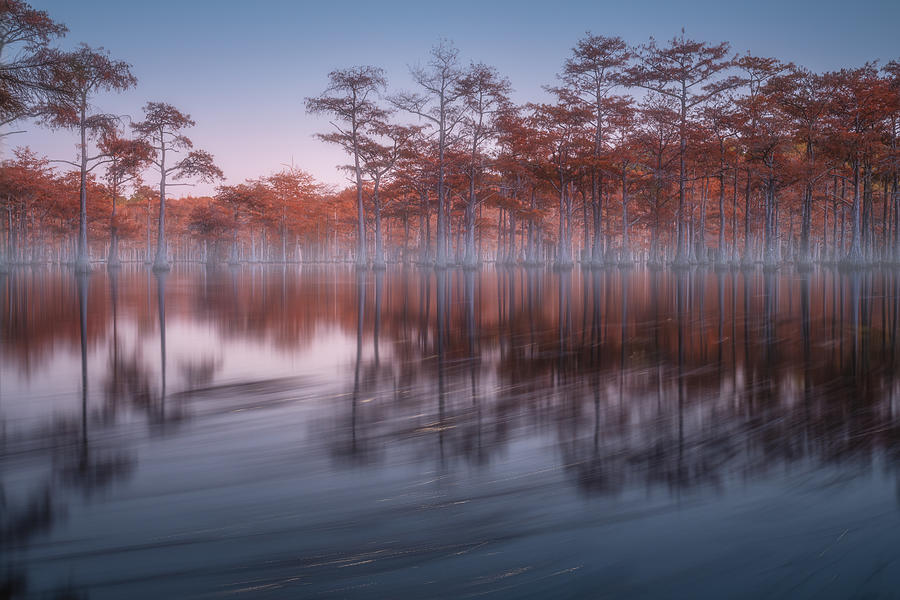Evening Cypresses Photograph by Alexandr Kukrinov