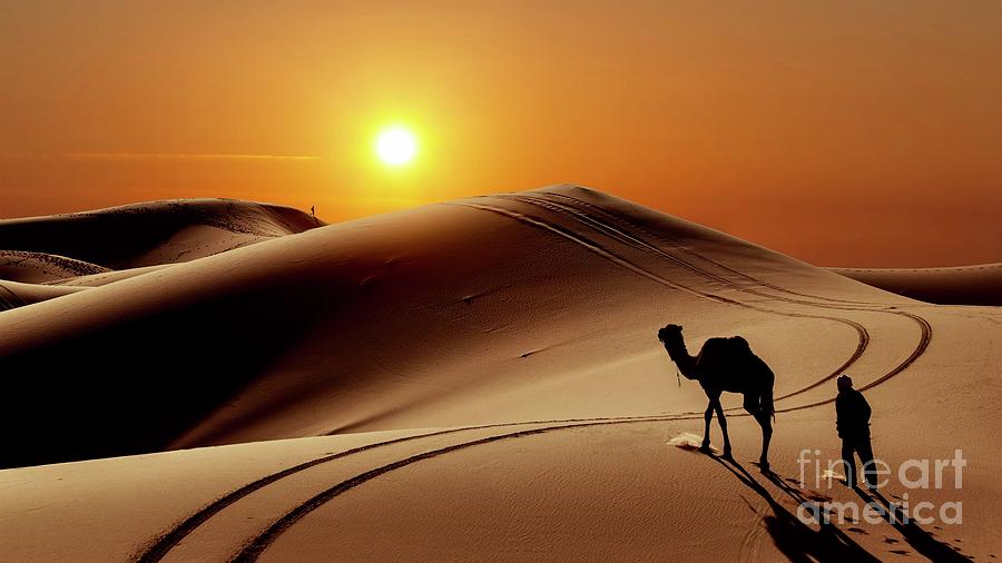 Evening Desert Safari  Photograph by EliteBrands Co